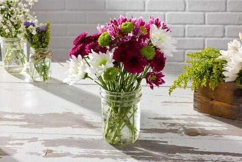 Ball mason jar clear glass 16oz showcases contents through crystal-clear transparency.