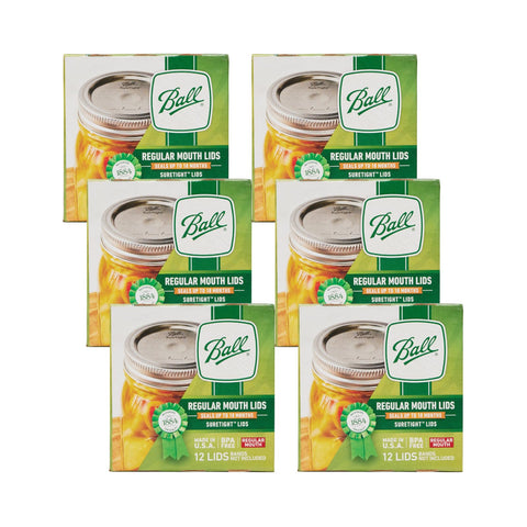 Ball Mason jar lids regular-mouth front view with a secure seal for canning