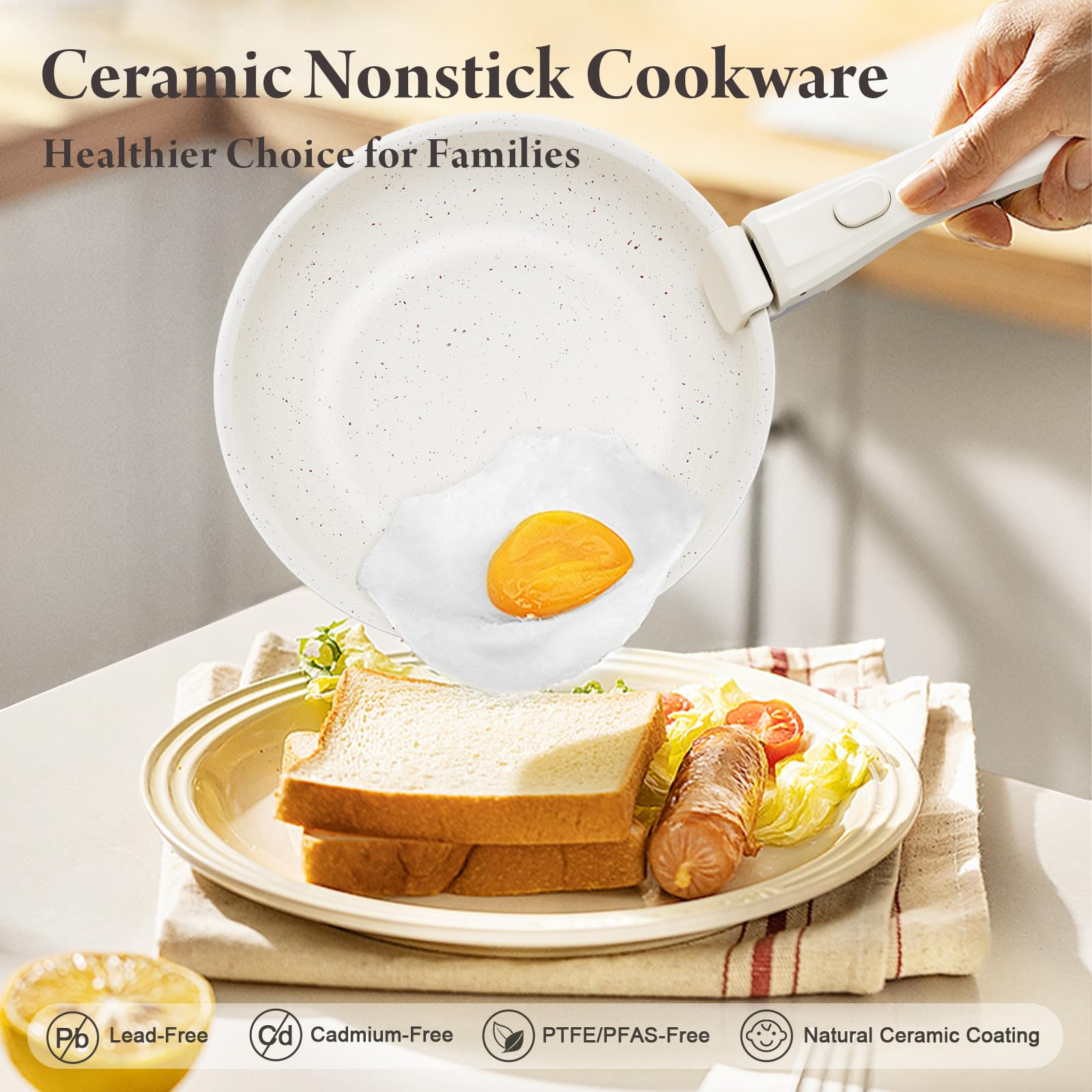 Induction-compatible Bazova cookware ready for versatile cooking on various stoves