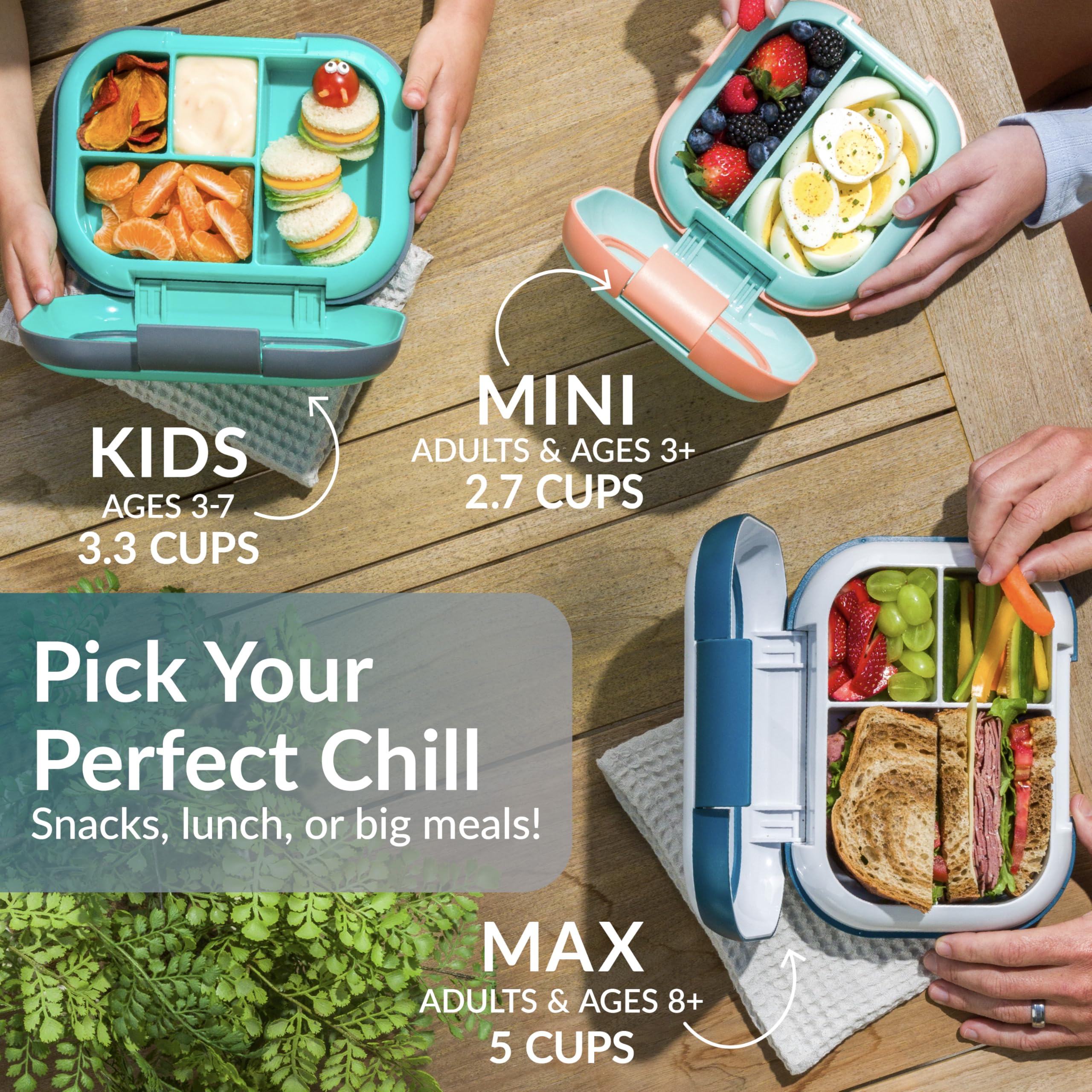 Bentgo Chill Max fits a full sandwich and sides in 5-cup capacity