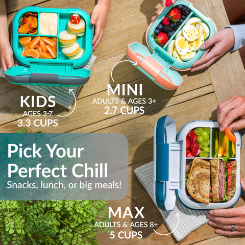 Bentgo Chill Max fits a full sandwich and sides in 5-cup capacity