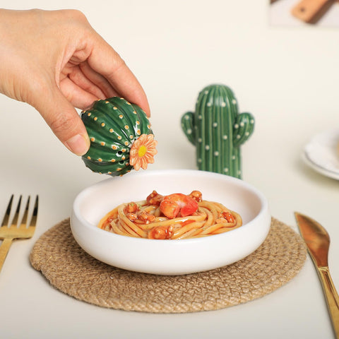 Bicuzat kitchen counter cactus shakers add whimsy and utility