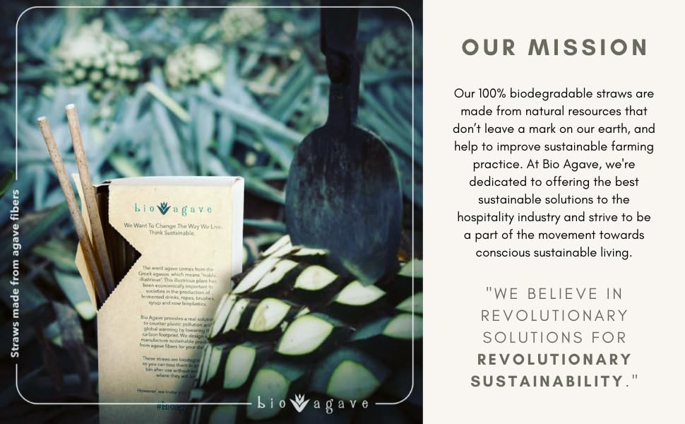 BIO AGAVE carbon-conscious manufacturing reduces waste via agave fiber utilization