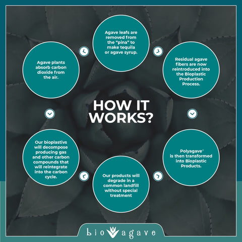 BIO AGAVE biodegradation concept in landfill, emphasizing eco-conscious disposal.