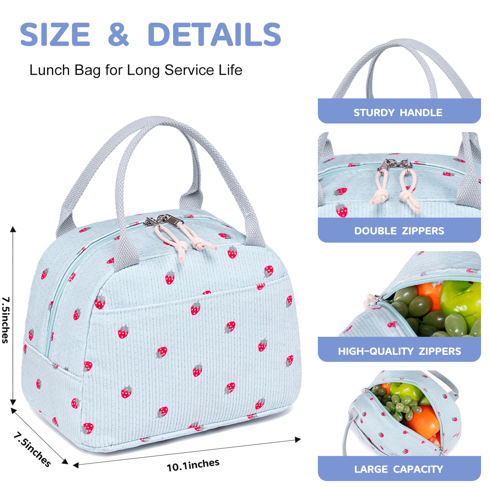Bluboon compact dimensions fit a standard lunch box