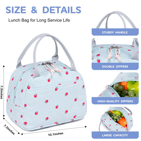 Bluboon compact dimensions fit a standard lunch box