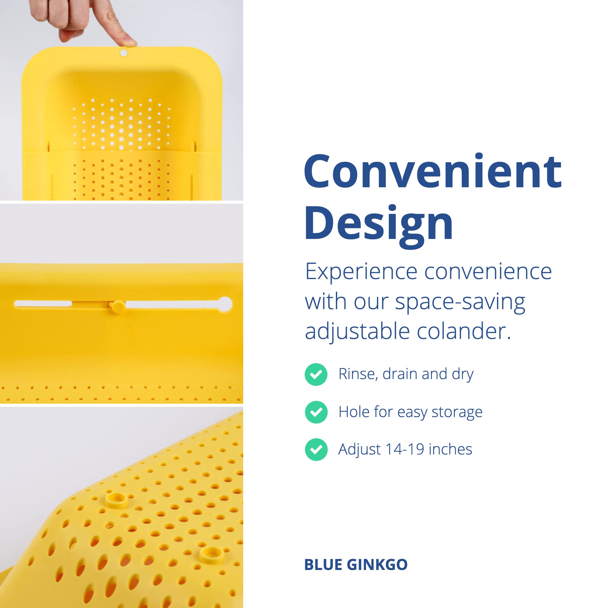 BLUE GINKGO BPA Free colander designed for safe food preparation and durability