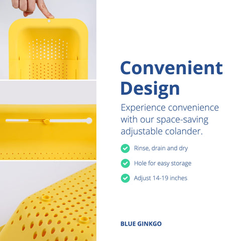 BLUE GINKGO BPA Free colander designed for safe food preparation and durability