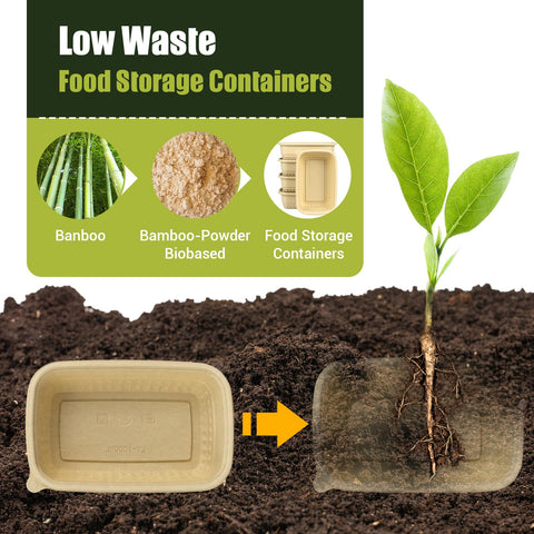 Bmboryxa bamboo-powder biobased material close-up for eco-friendly meal prep.
