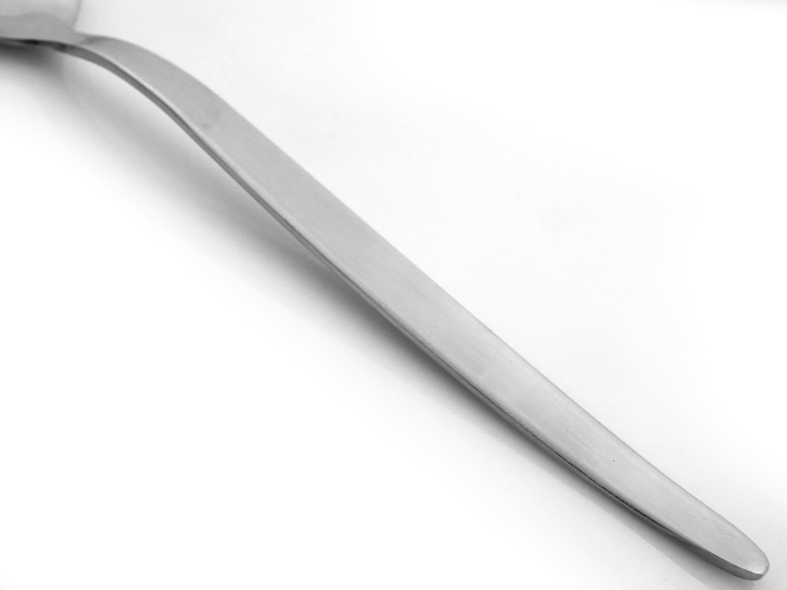 BNAZIND Kunz large serving spoon in a silverware drawer