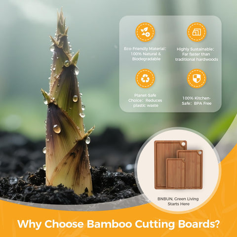 BNBUN board with built-in handles for easy transfer