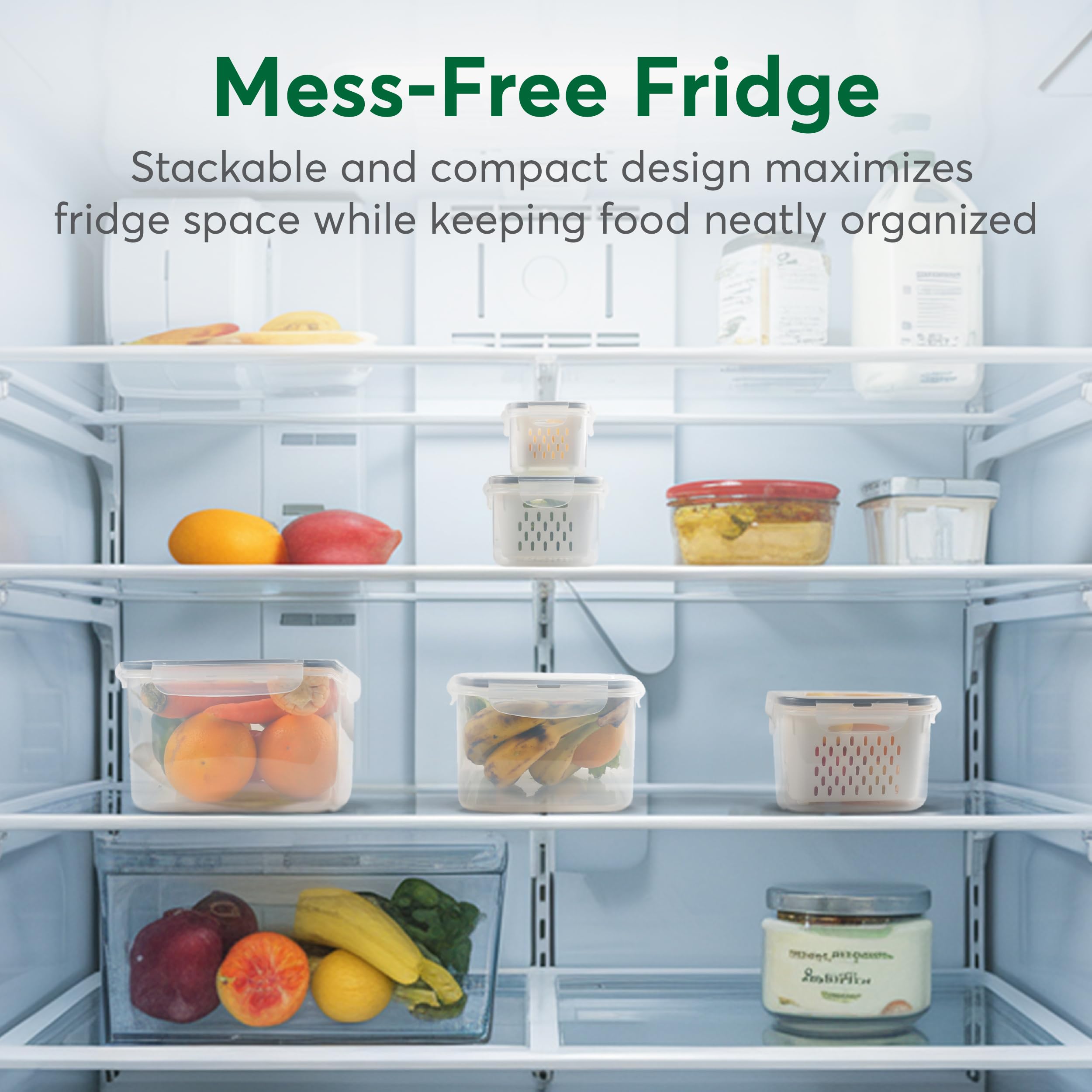BreezyHome vegetable storage container fits neatly in fridge shelves