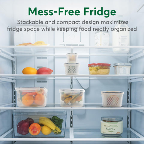 BreezyHome vegetable storage container fits neatly in fridge shelves