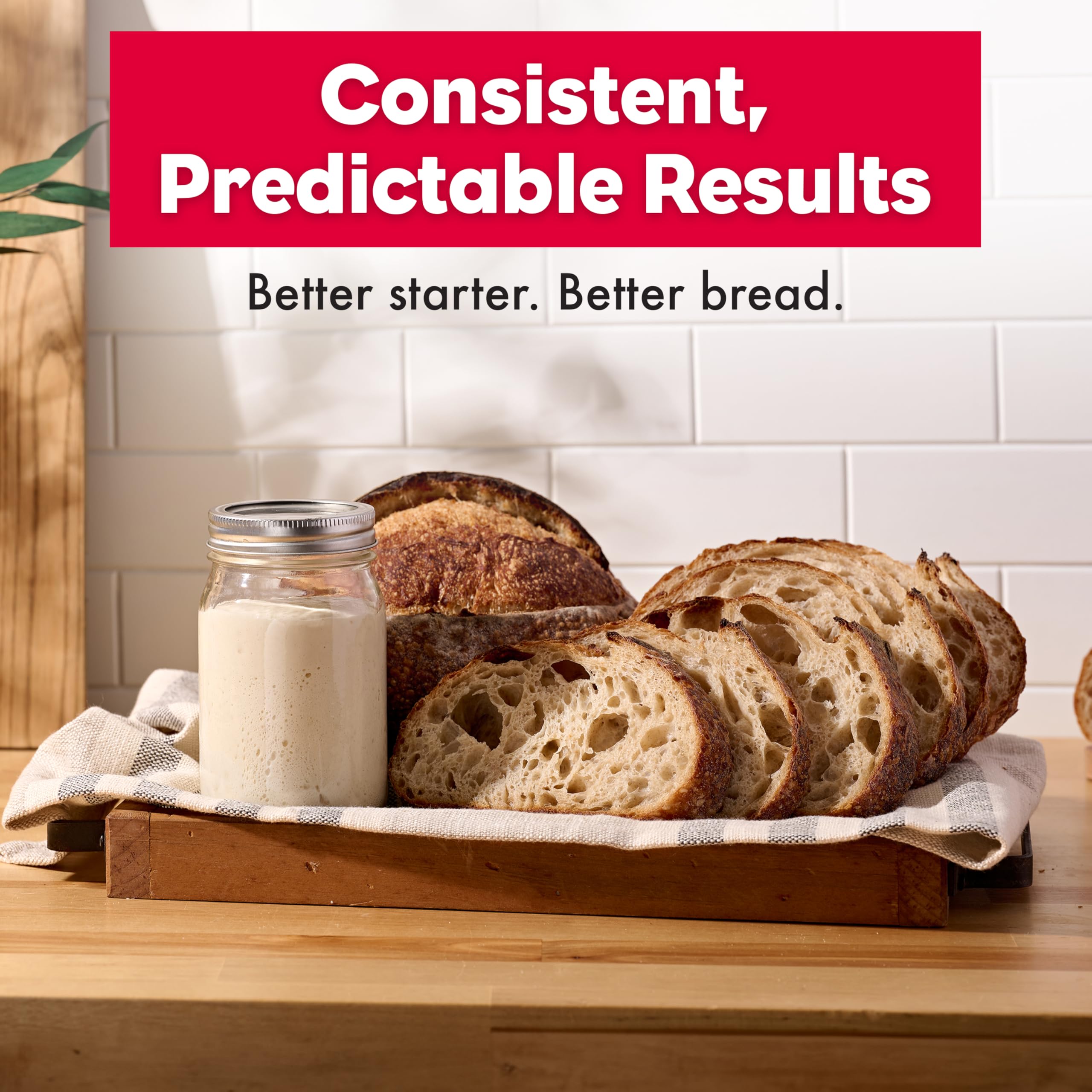 Brod & Taylor Sourdough Home fits a 1 quart jar for versatile starter setups