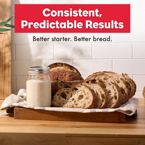 Brod & Taylor Sourdough Home fits a 1 quart jar for versatile starter setups