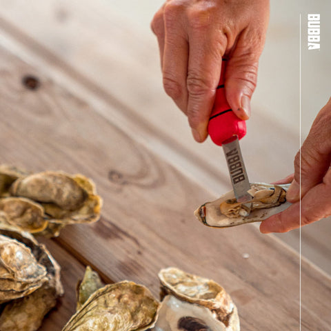 Oyster shucking action captured by curved tip for leverage