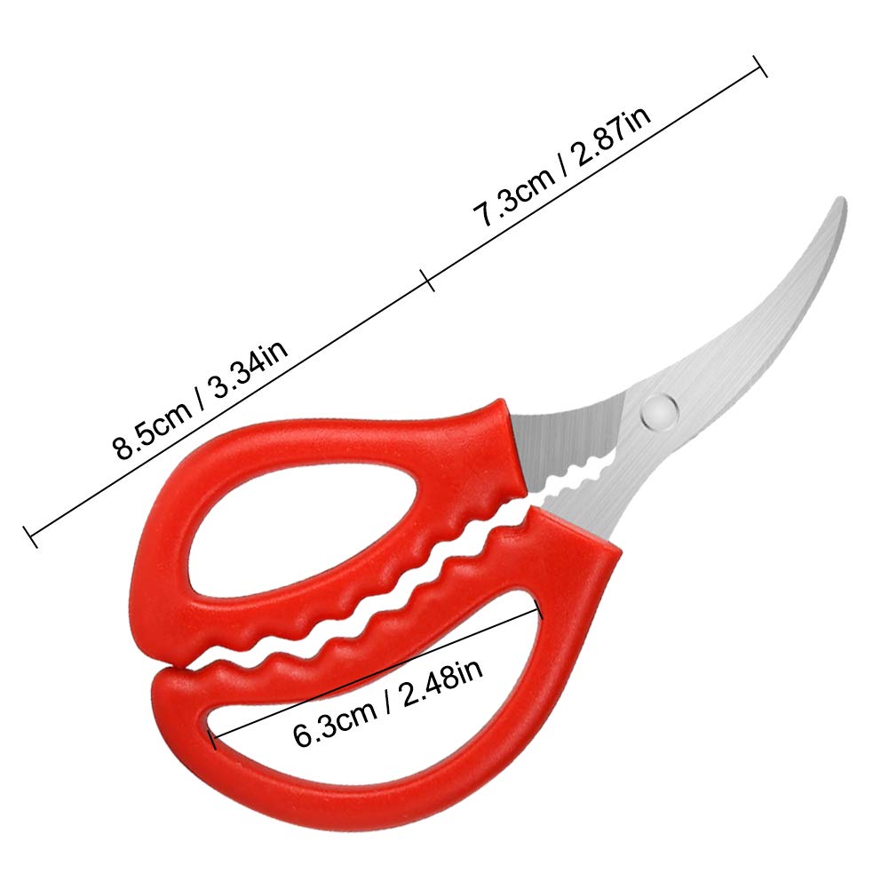 Calary crab scissors demonstrate strong blades for cracking shells and seafood prep.