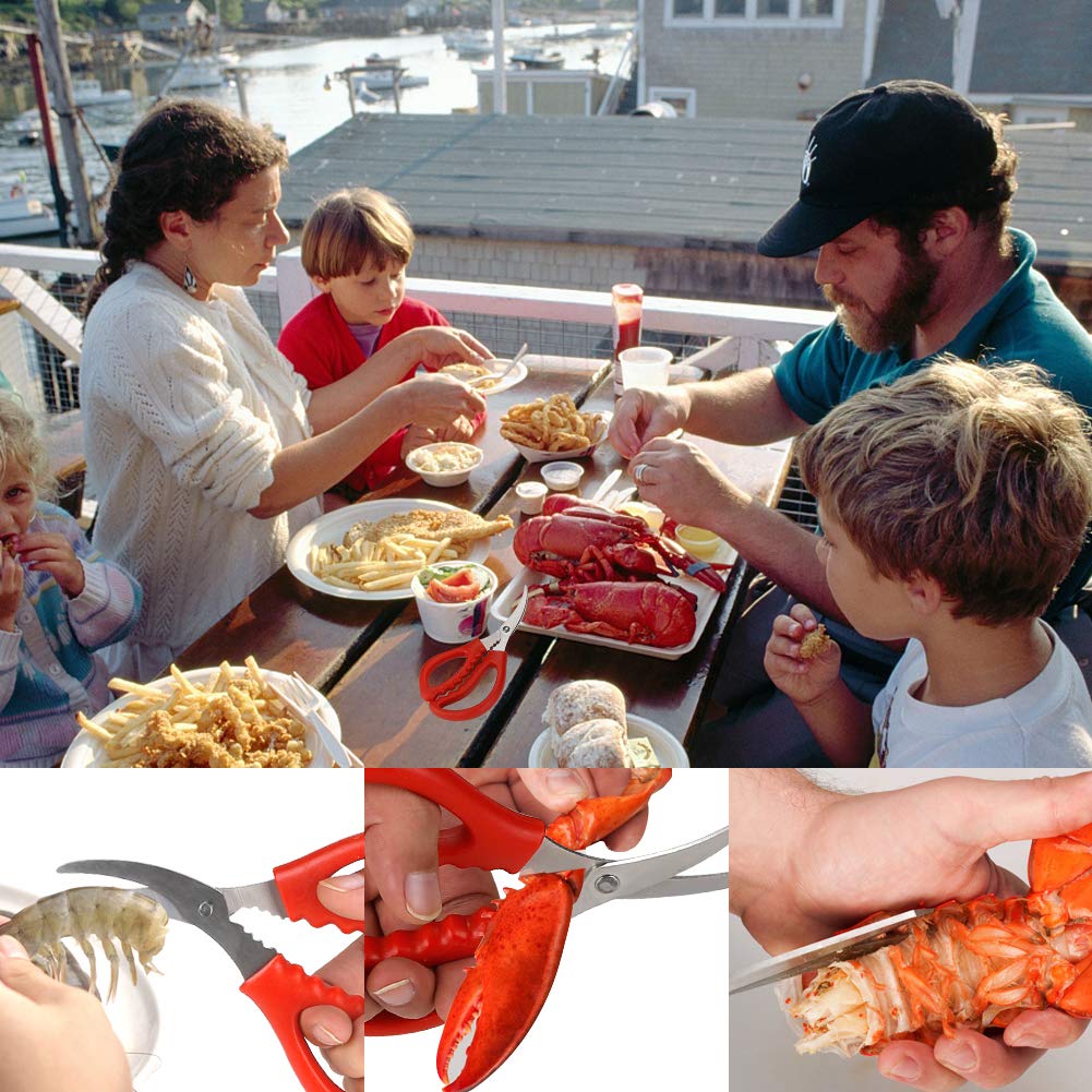 Calary red handle seafood scissors add color and practical grip in the kitchen.