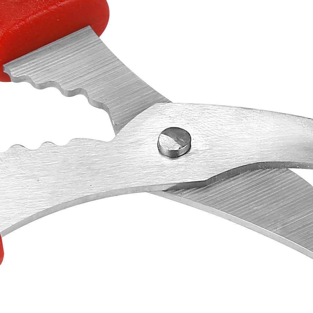 Calary seafood shears offer multi-use efficiency for seafood tasks and kitchen prep.