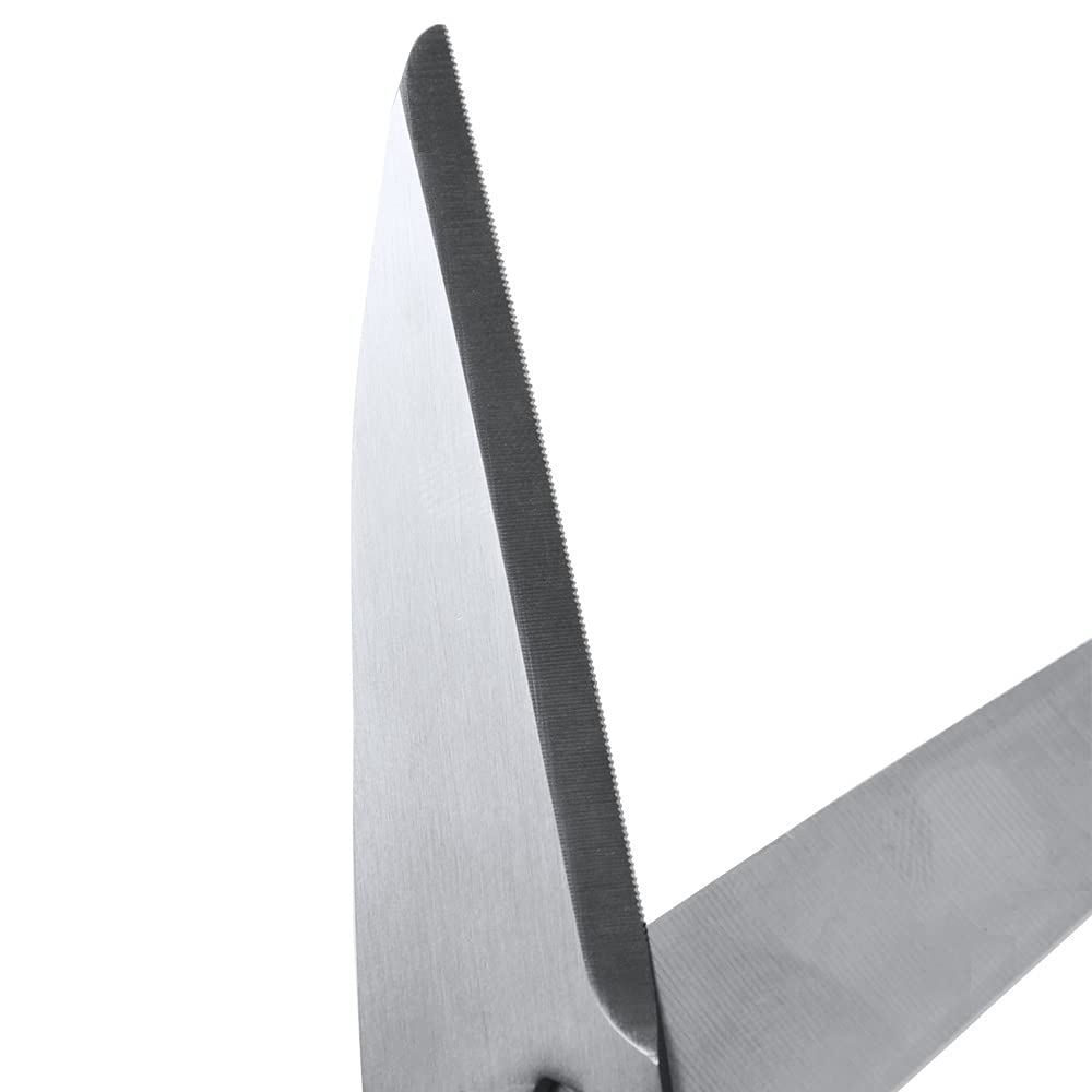 CANARY detachable blade design enables easy cleaning and maintenance