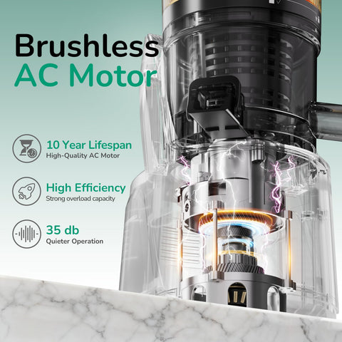 Detachable pulp container for easy cleanup after juicing.