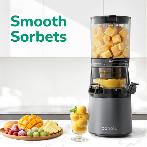 Sorbet filter helps create smooth frozen treats from fruits.