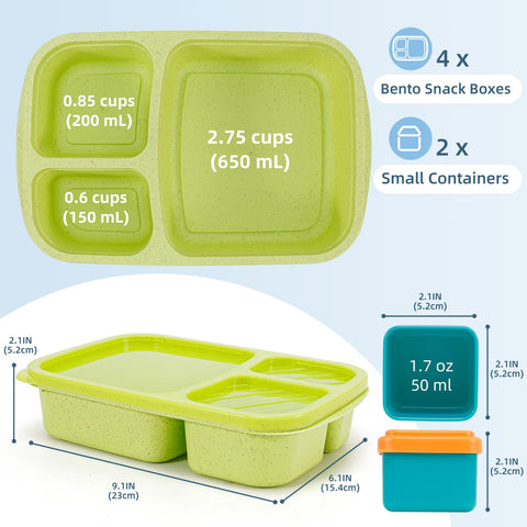 Caperci Bento for kids and adults, perfect school lunch option.