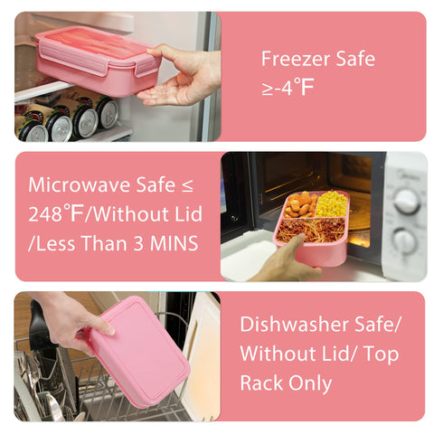 Caperci Classic Bento Box pink color adds a stylish option for teens and adults