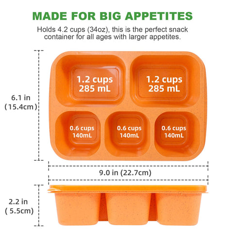 Caperci colorful 4-pack ideal for school, work, and travel routines.