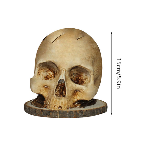 CAREEN fruit storage skull decor creates playful countertop display.