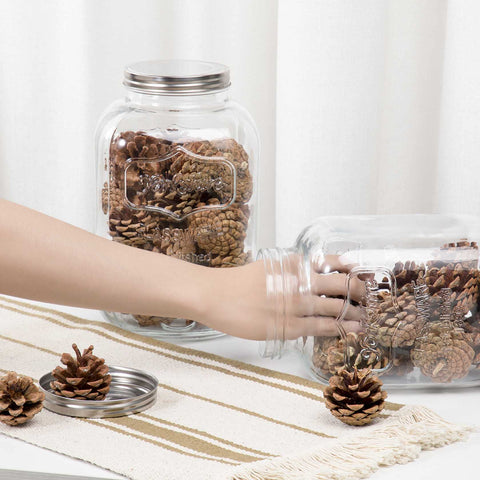 CATPOWER wide mouth jar for effortless cleaning and scooping spices