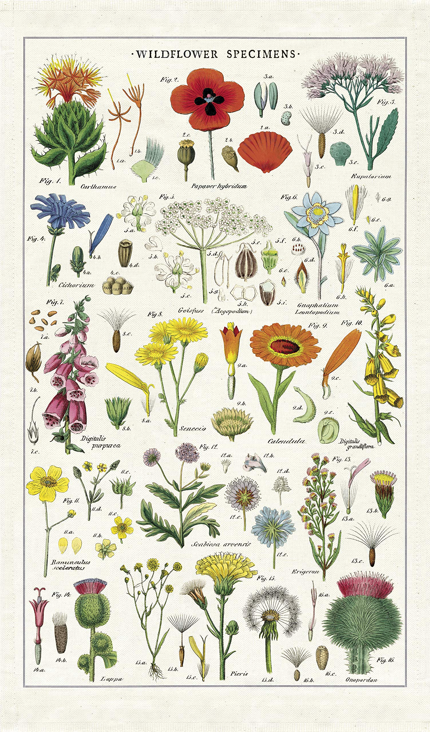 CAVANILLI AND CO Wildflowers Tea Towel multicolor on display for drying dishes