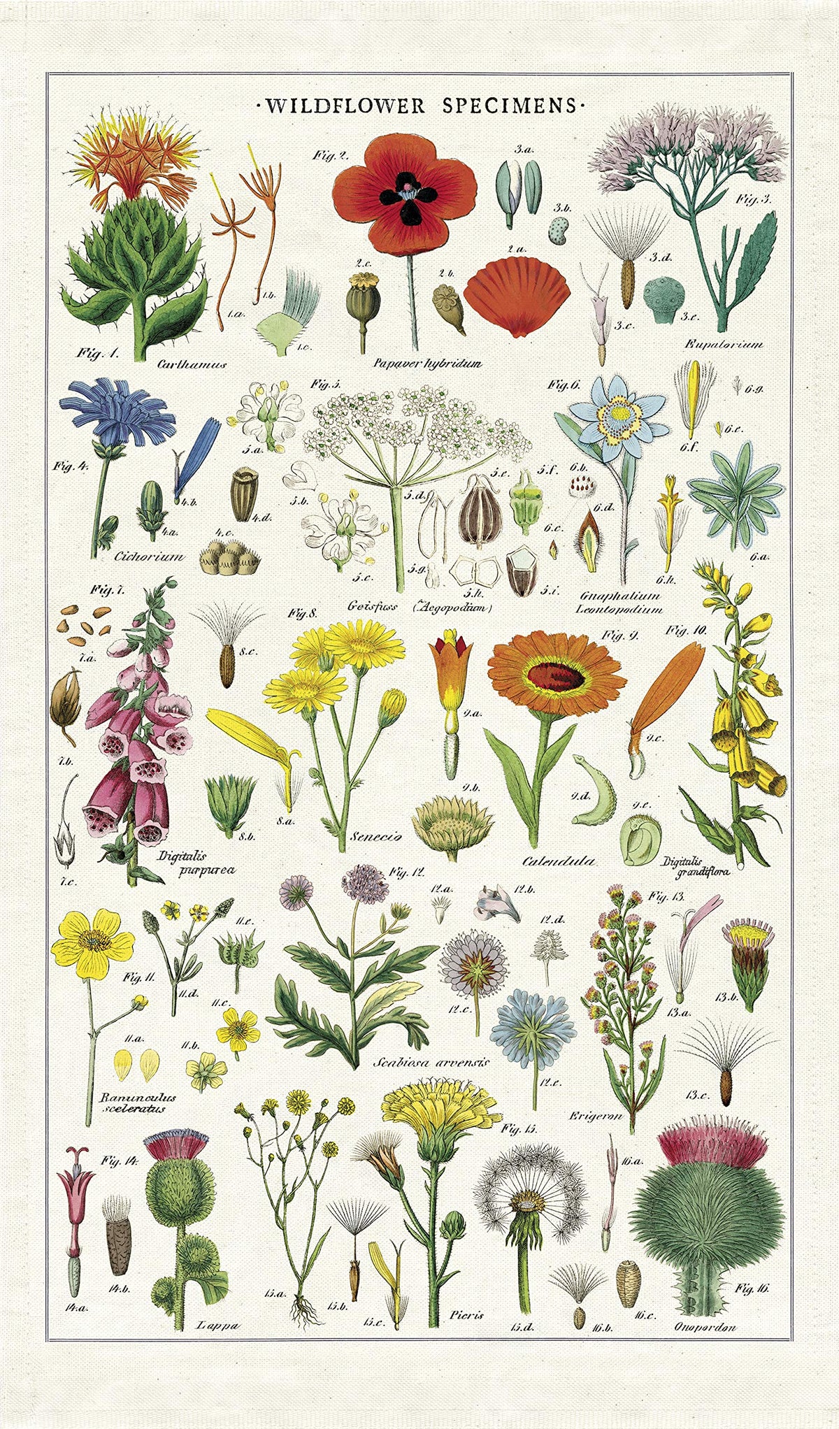 CAVANILLI AND CO Wildflowers Tea Towel multicolor on display for drying dishes