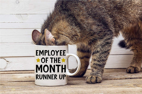 Durable packaging protects CBTwear mug during shipping