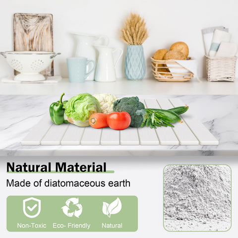 Cecnamt diatomaceous earth close-up showing natural absorbency.