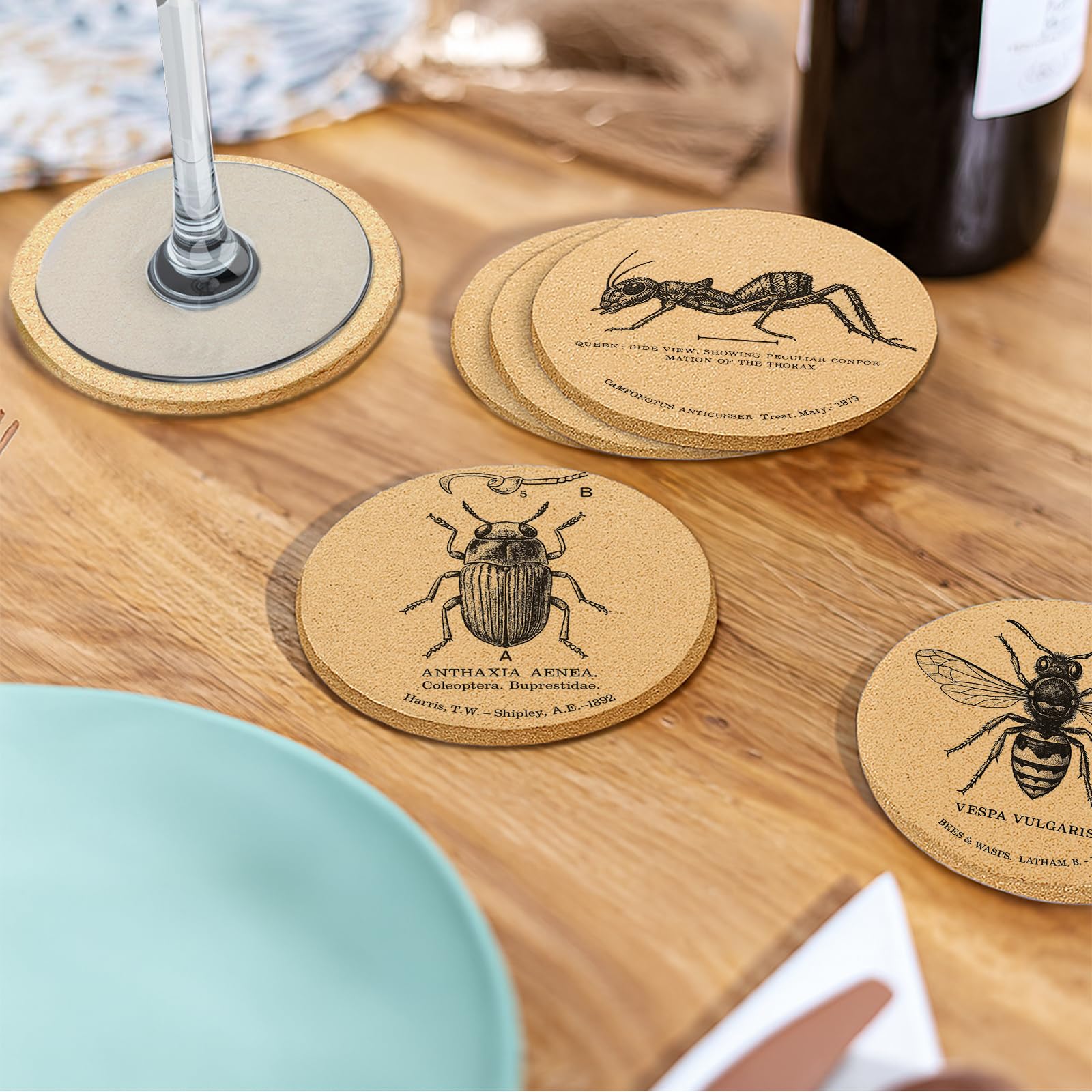 Cegkuc insect coasters make a thoughtful housewarming gift for nature lovers.