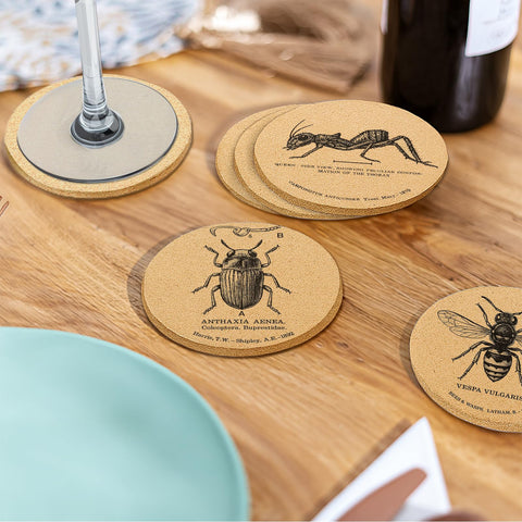 Cegkuc insect coasters make a thoughtful housewarming gift for nature lovers.