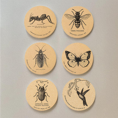 Cegkuc bees and butterflies illustration on coasters celebrate pollinators.