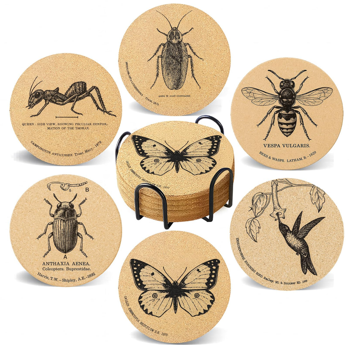 Cegkuc six-piece insect-themed coasters with holder protect surfaces.