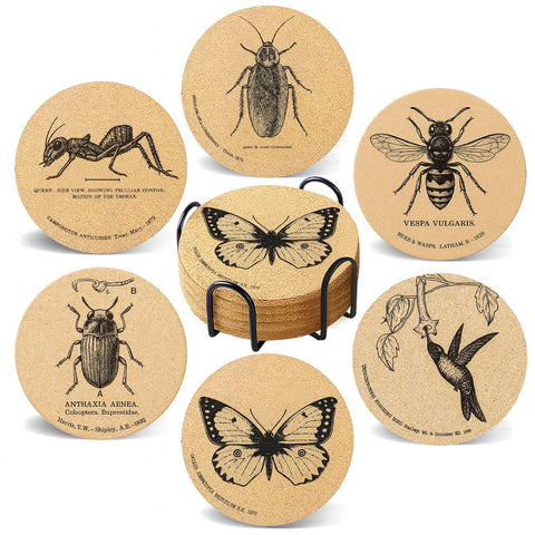 Cegkuc six-piece insect-themed coasters with holder protect surfaces.