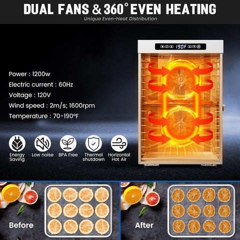 Cercker rear airflow design ensures even drying across all trays