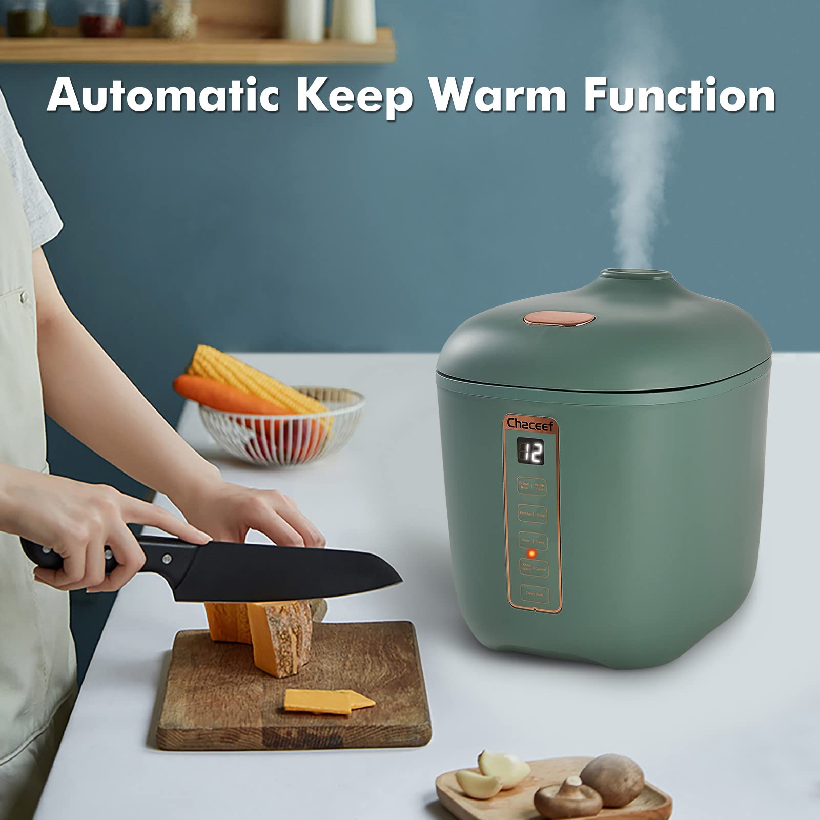 CHACEEF mini rice cooker dorm and travel-friendly size on your counter