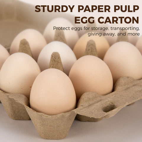 CINPIUK stackable pulp trays simplify fridge organization.