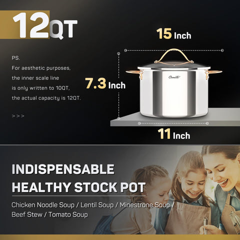 Ciwete induction compatible stock pot symbol for versatile cooking