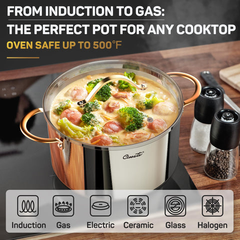 Ciwete stock pot oven safe up to 500F label