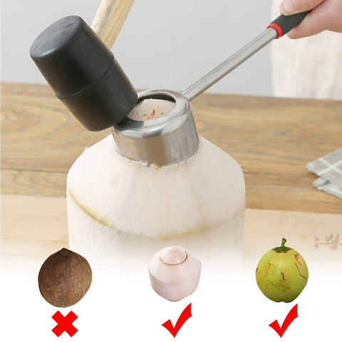 CJFocus stainless steel reusable straws ready for enjoying fresh coconut water.