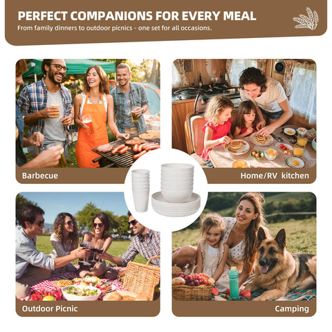 CLIFFS KITCHEN microwave-safe plates—heat meals safely and quickly