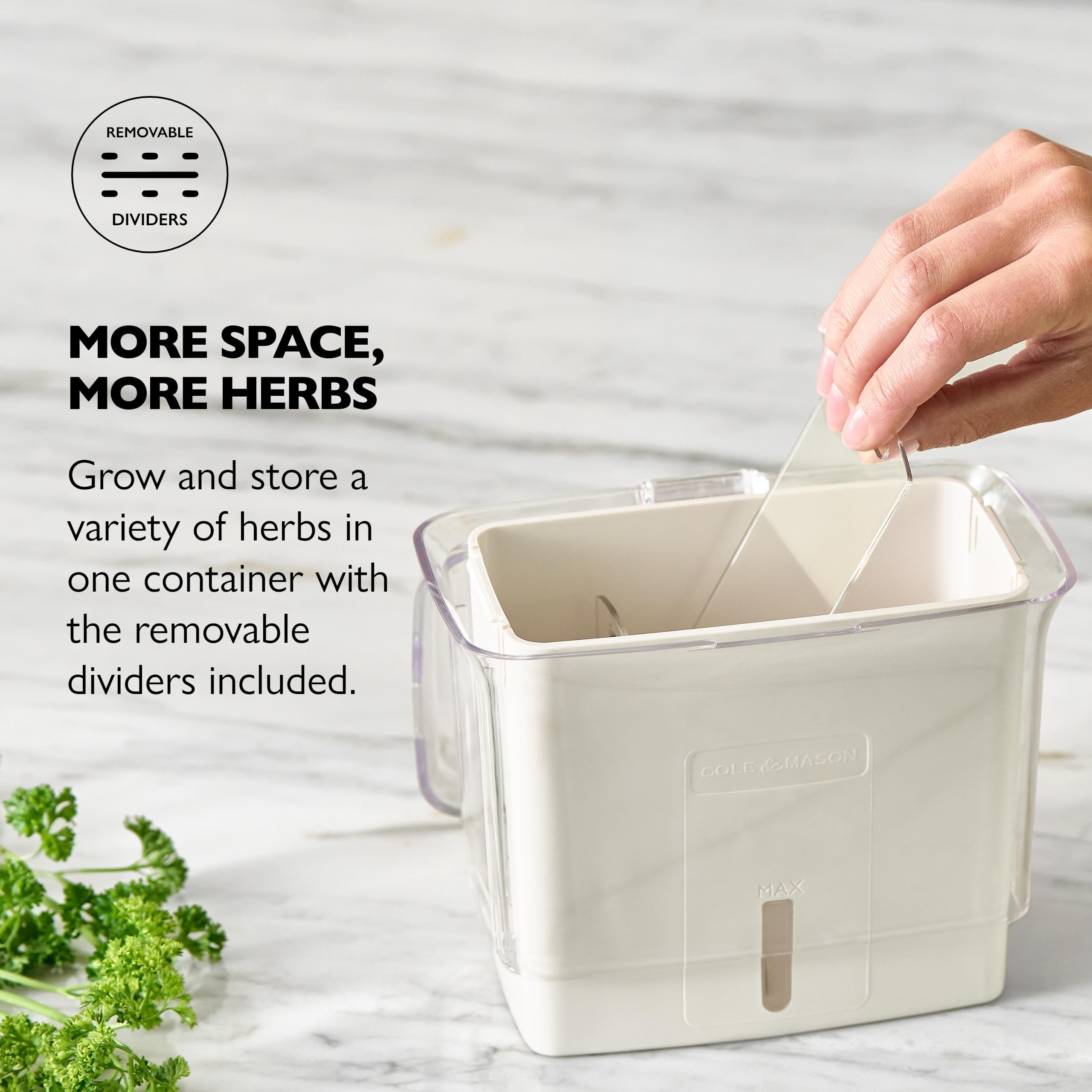 Cole and Mason Fresh Herb Keeper removable dividers organize multiple herbs