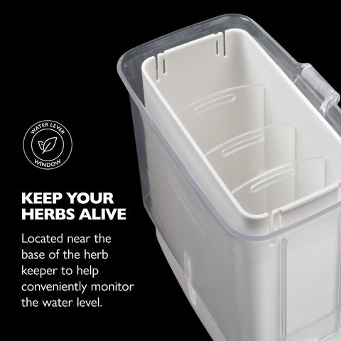 Cole and Mason Fresh Herb Keeper vented container for crisper herbs