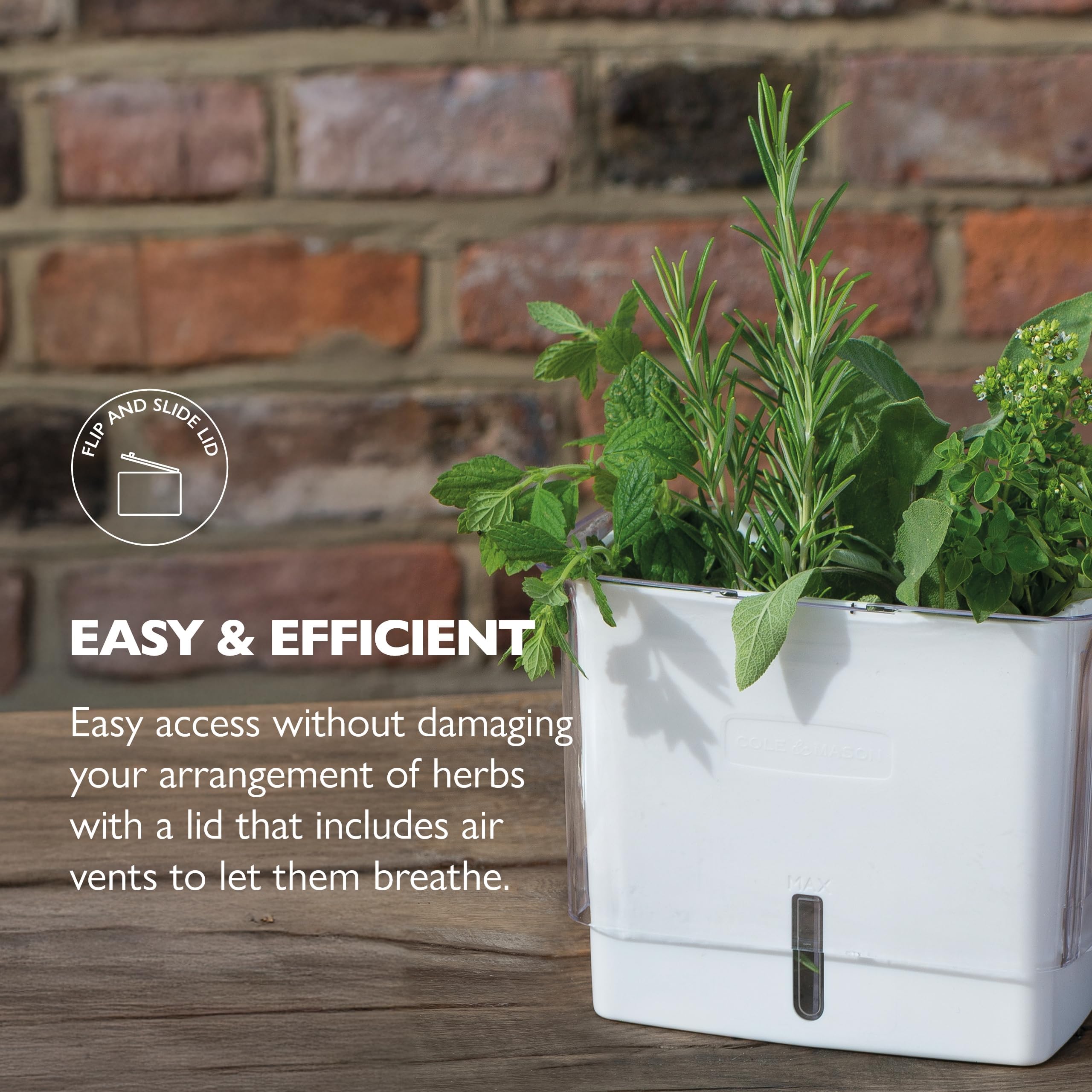 Cole and Mason Fresh Herb Keeper water level indicator helps moisture control